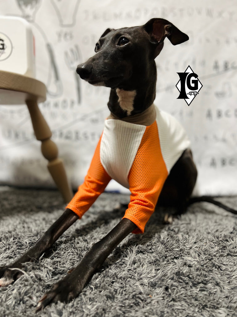 "paparazziG" Mesh T-shirt 4Color