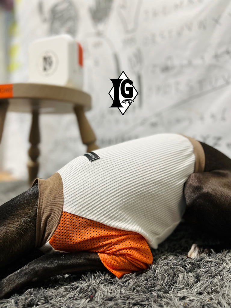 "paparazziG" Mesh T-shirt 4Color