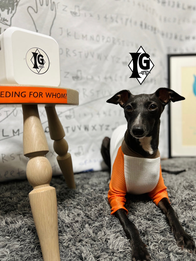 "paparazziG" Mesh T-shirt 4Color