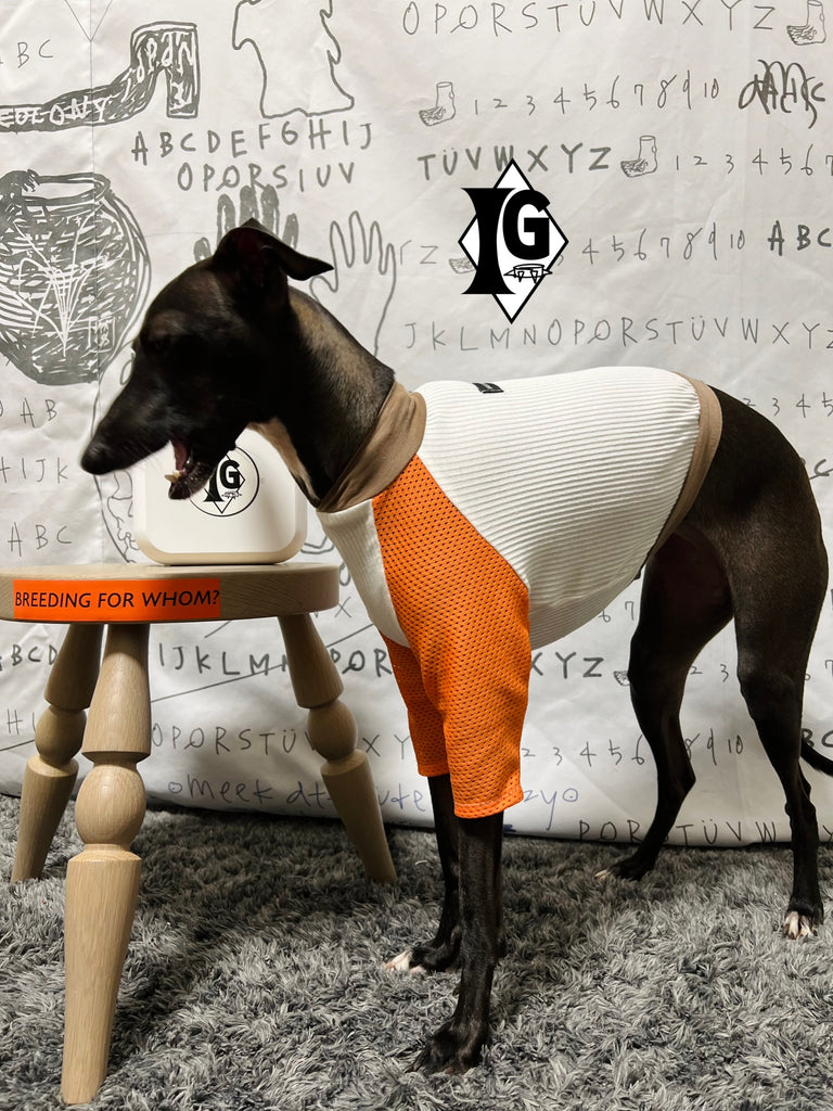 "paparazziG" Mesh T-shirt 4Color