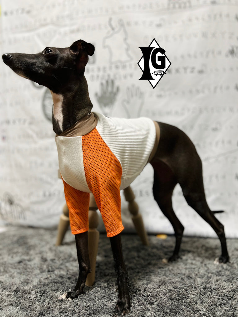 "paparazziG" Mesh T-shirt 4Color