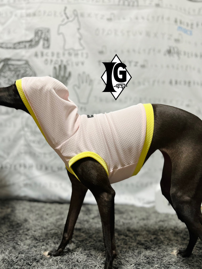 "paparazziG" Cool Hoodie No-Sleeve