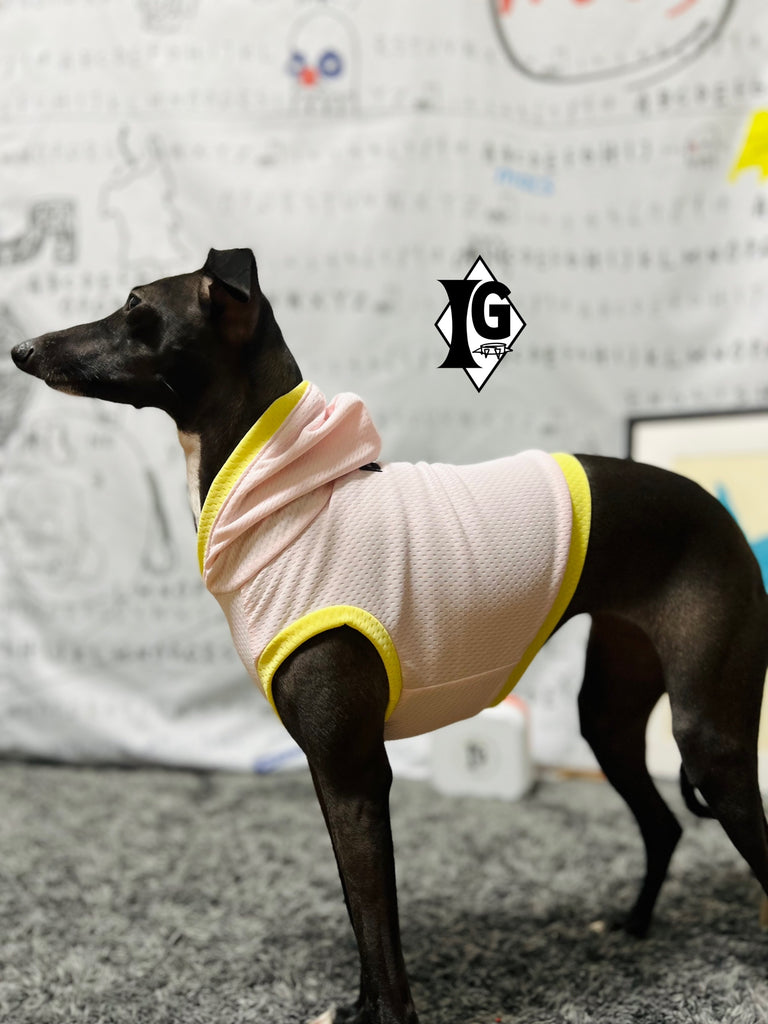 "paparazziG" Cool Hoodie No-Sleeve