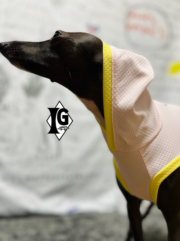 "paparazziG" Cool Hoodie No-Sleeve
