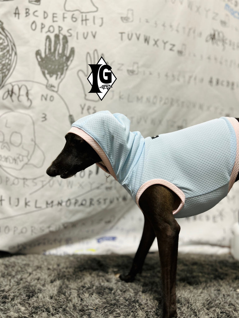 "paparazziG" Cool Hoodie No-Sleeve