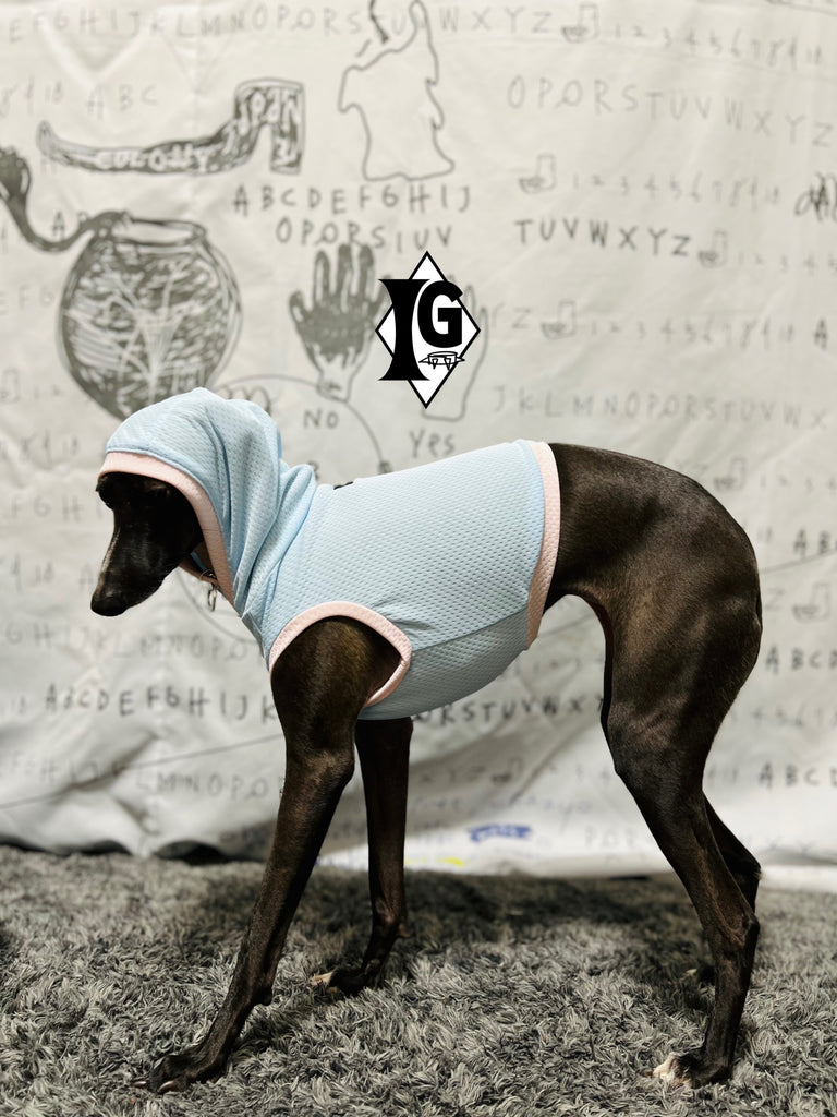 "paparazziG" Cool Hoodie No-Sleeve