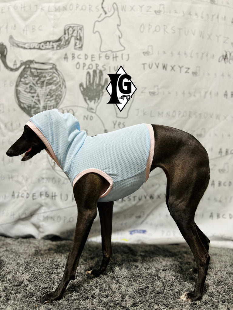 "paparazziG" Cool Hoodie No-Sleeve