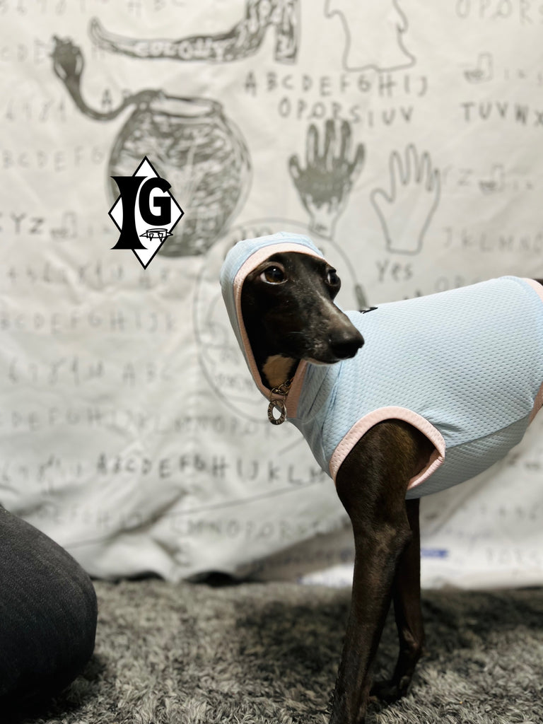 "paparazziG" Cool Hoodie No-Sleeve
