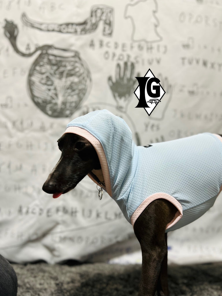 "paparazziG" Cool Hoodie No-Sleeve