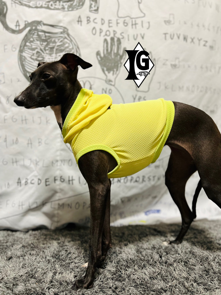"paparazziG" Cool Hoodie No-Sleeve