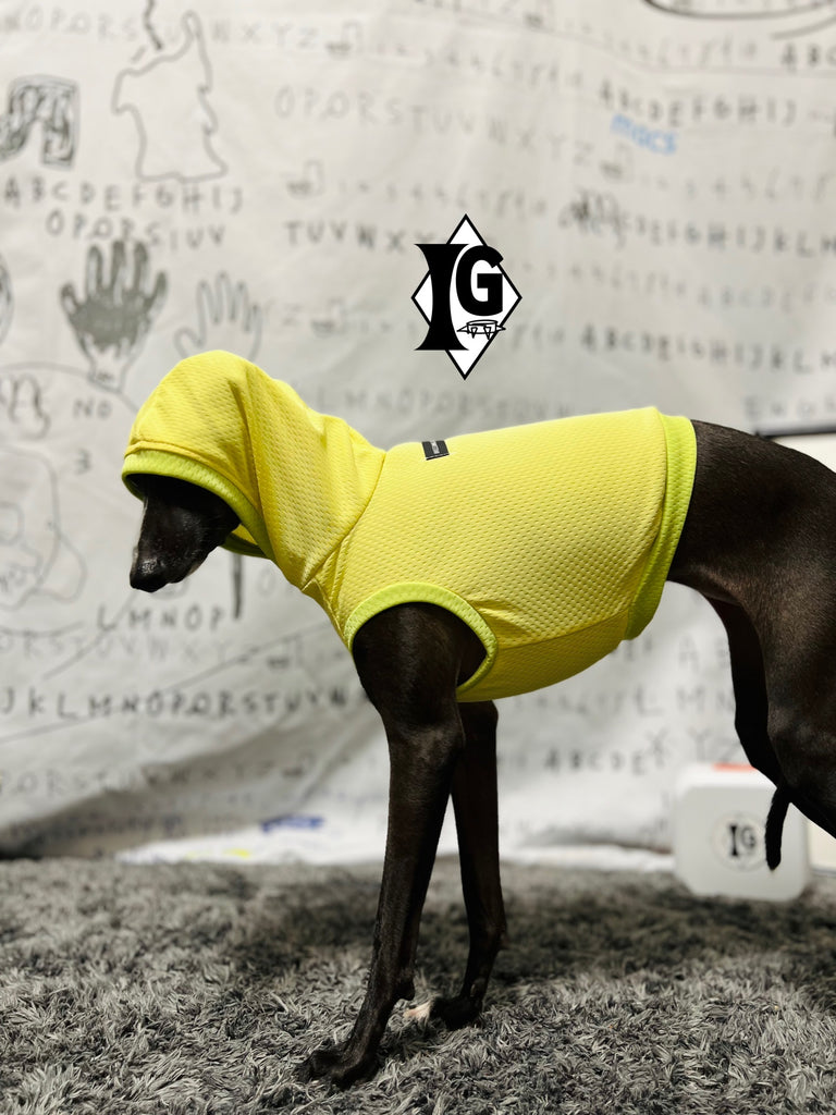 "paparazziG" Cool Hoodie No-Sleeve