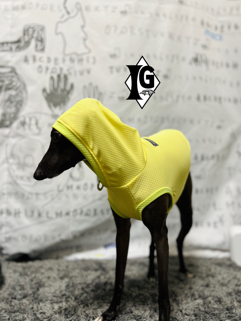 "paparazziG" Cool Hoodie No-Sleeve