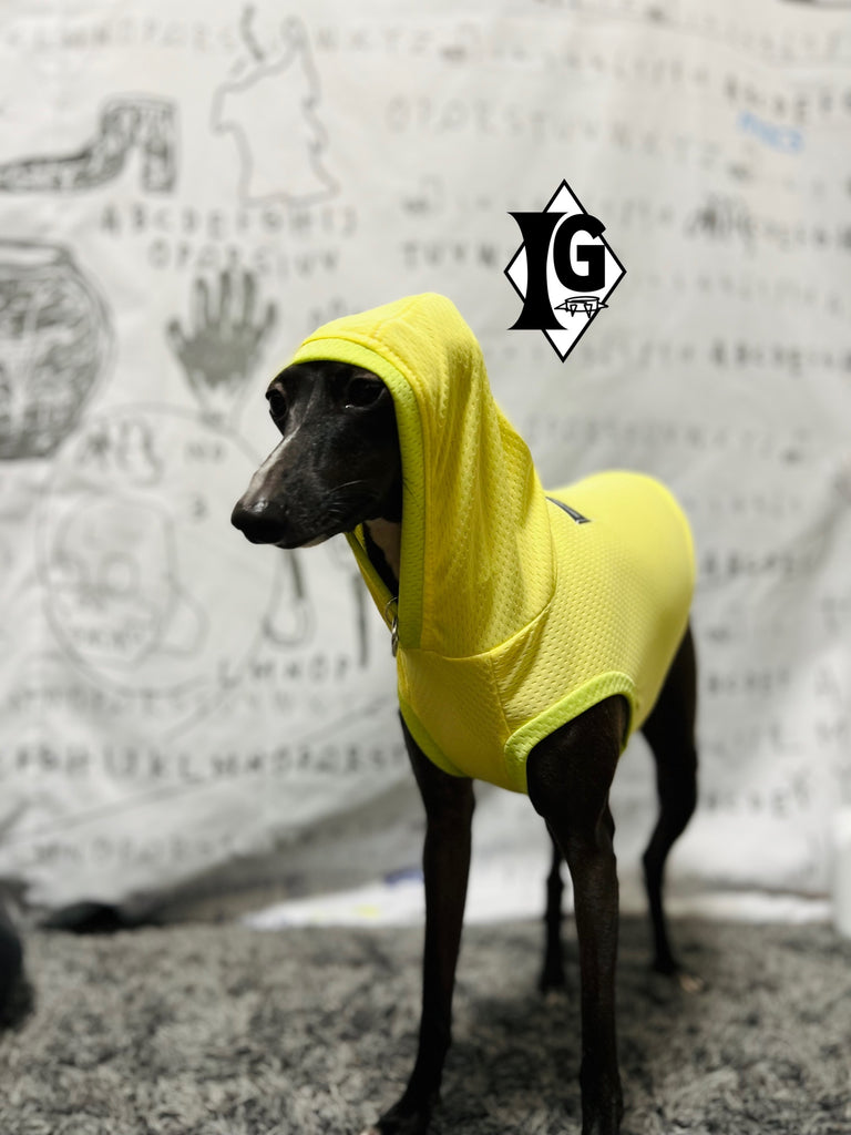"paparazziG" Cool Hoodie No-Sleeve