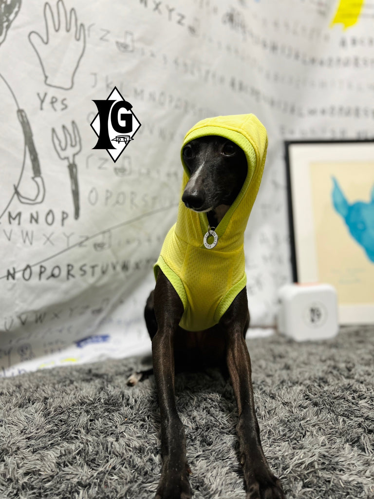 "paparazziG" Cool Hoodie No-Sleeve