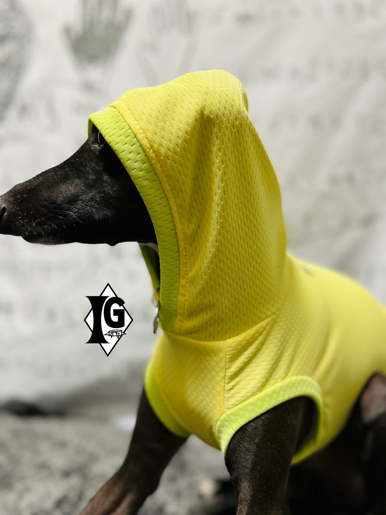 "paparazziG" Cool Hoodie No-Sleeve