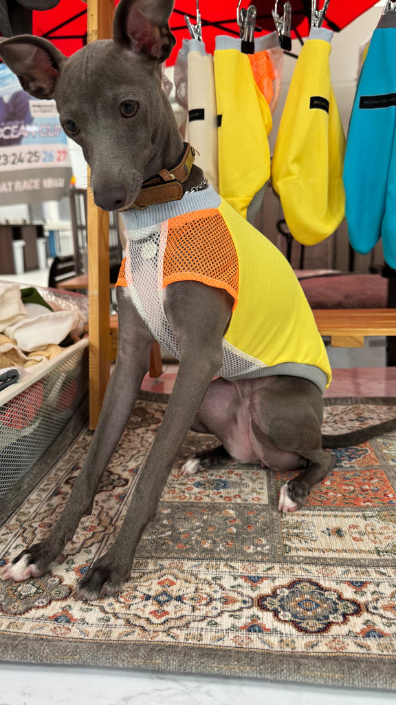 UVcut & Cool No-sleeve 【yellow】