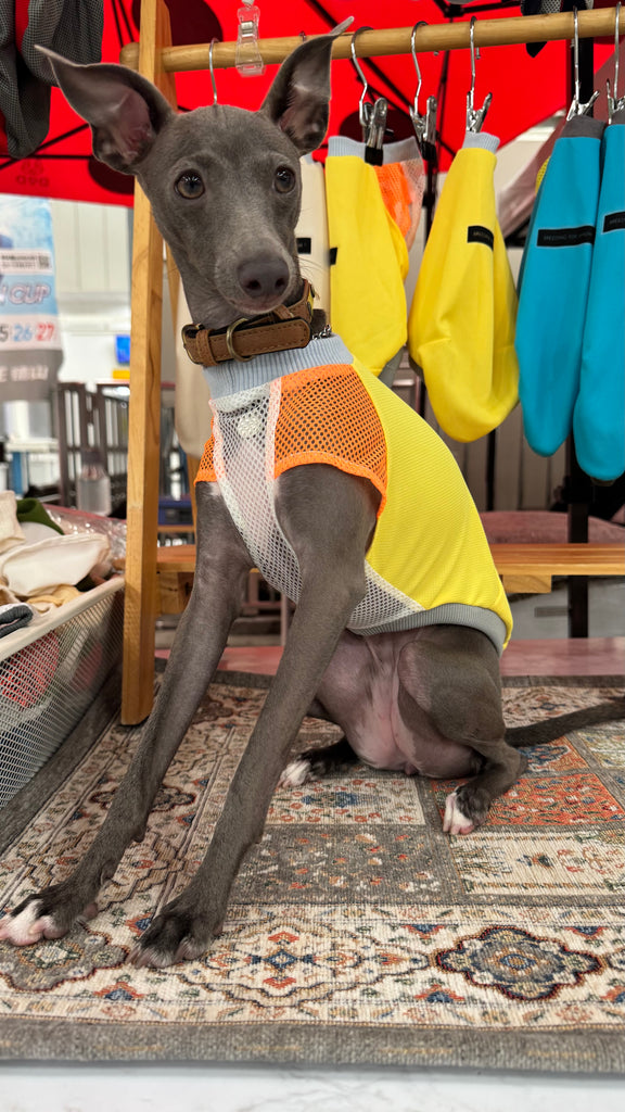 UVcut & Cool No-sleeve 【yellow】