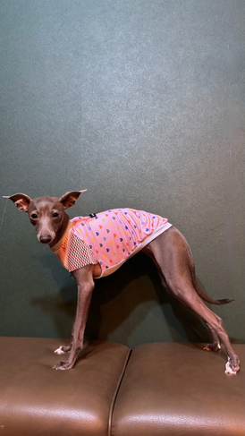 Lovely Cool No-sleeve【pink】
