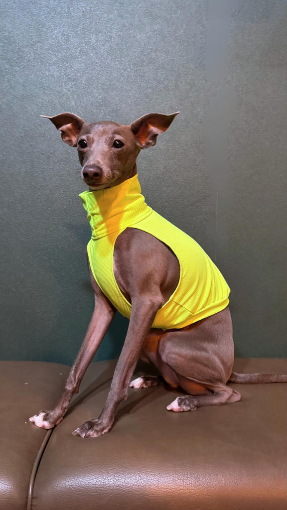 Sports No-sleeve【yellow】
