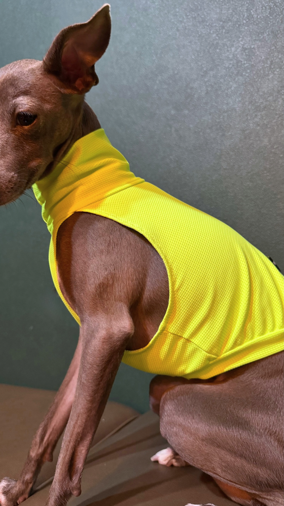Sports No-sleeve【yellow】