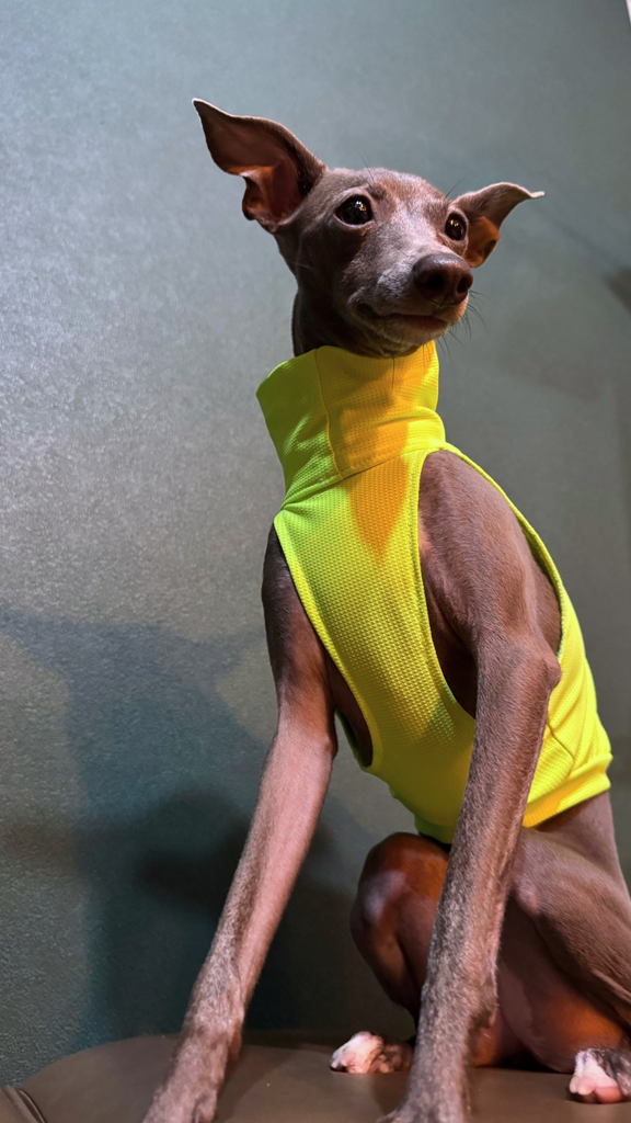 Sports No-sleeve【yellow】