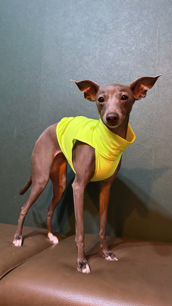 Sports No-sleeve【yellow】