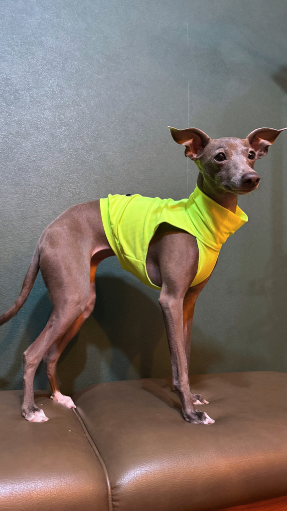 Sports No-sleeve【yellow】