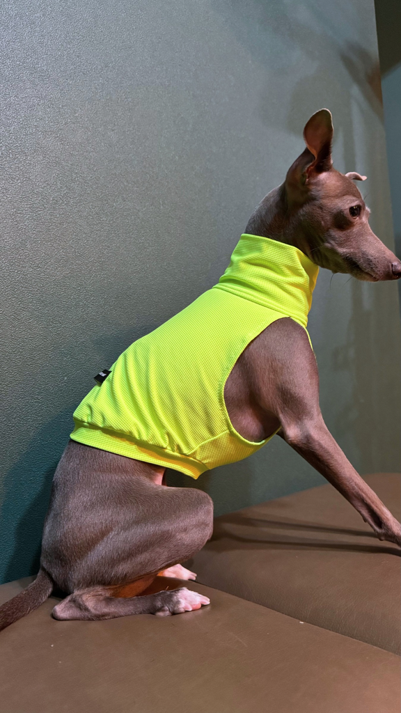 Sports No-sleeve【yellow】