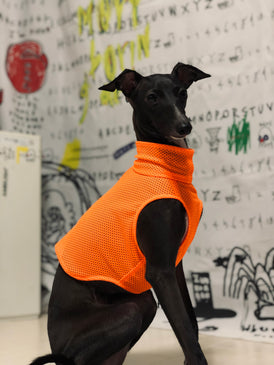 "Engine" Mesh No-sleeve-ORANGE